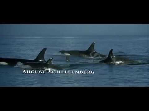 01. Main Titles (Free Willy 2 / 1995) Soundtrack