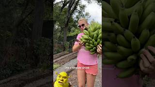 Sou filha de Shrek 😂