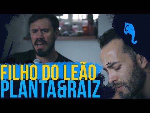Filho do Leão - Planta e Raiz | ELEFANTE SESSIONS