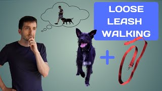 Train Your Dog to [WALK NICELY]