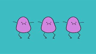 Raisins by Barenaked Ladies - Song Animation