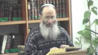 15164-1 אלטרנטיבה לדמיון של טומאה