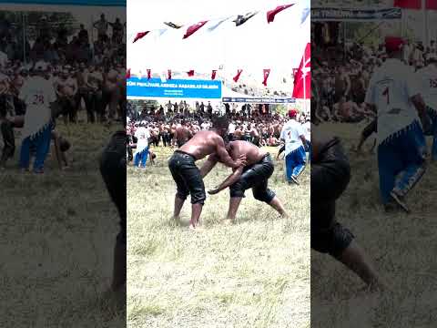 Atom karınca Cemal Cumhur rakibiyle müthiş mücadelesi