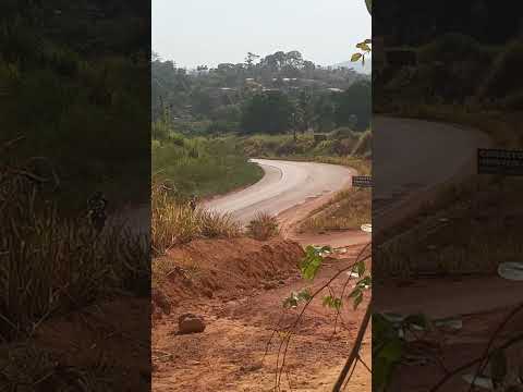 viação ouro e prata seguindo viagem de ruropolis para algum lugar 🙂