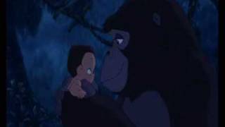 You'll Be In My Heart - Phil Collins - Tarzan (Disney) - AMV