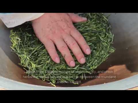 The Cultivation of Kykeon: How it came to be