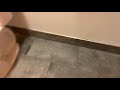 931 Teapioca Lounge Women S Restroom