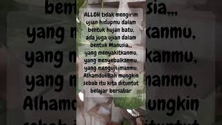 Download lagu Ujian dalam bentuk manusia# #viral # #quotes #video #motivasi #masukberanda #fyp#video  @Shorts mp3