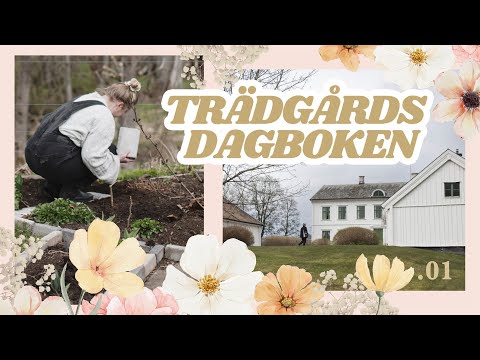 Allt jag ska så, odlingsplan, trädgårds-tour & förra säsongens lärdomar 🌱 🌸 | Trädgårdsdagboken .01