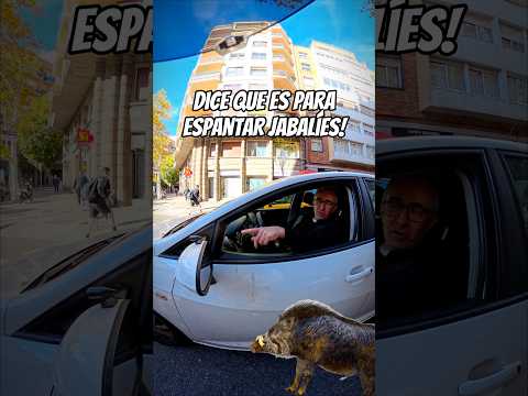 Era una cámara? O es lo que él dice! ⬇️⬇️⬇️ #stormrider660 #motero #bikers #bikerlife