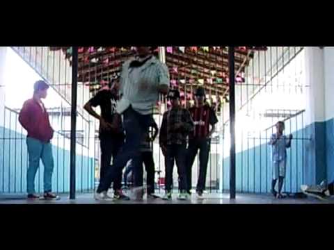 MOOSE [ Only 7 #Free-Step]