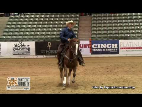 That Cats On Fire ridden by Chris Dawson  - 2016 NRCHA Snaffle Bit Futurity (Rein-Open Prelims)