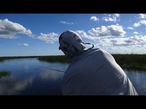 Takes at the Wetlands - Pirá Lodge