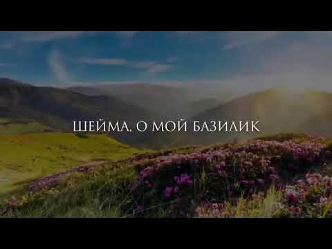 Поэма «Шейма, о мой базилик…» о дочери и отце, которая заставит тебя заплакать…