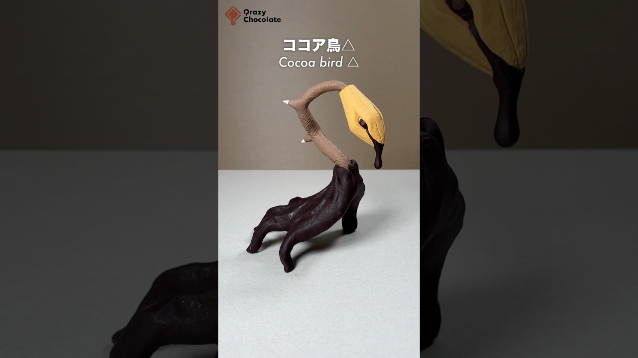 ヒトの手 Human hand