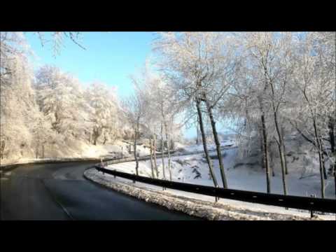 Dale Middleton - Audit & Purge (Original Mix)