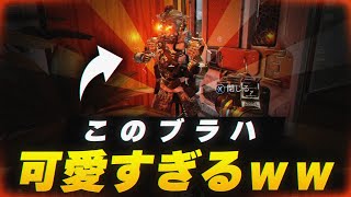 【APEX LEGENDS】最後に残っていた命乞いをしてくる初心者ブラハが可愛すぎたｗｗｗ【エーペックスレジェンズ】