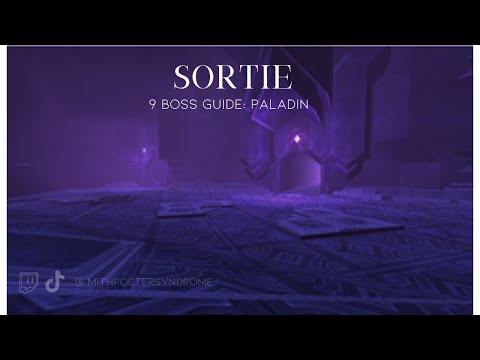 FFXI Sortie 9 boss strategy guide (Paladin)