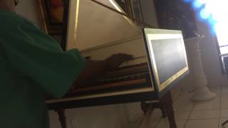 Kris Nicholson please St. Louis Blues on a Robert & Hicks Harpsichord