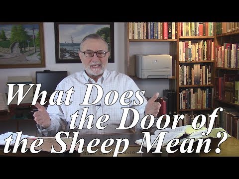 ‭What Does the Door of the Sheep Mean? John 10:7, ‬book by book bible study series