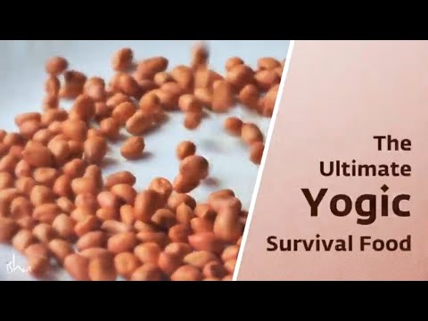 The Ultimate Survival Diet – The Yogic Superfood