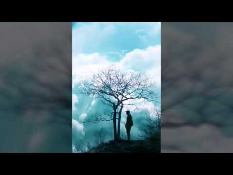 song: ishaaraaiy hey kuree