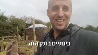 קומפוסט - איך הופכים את הפסולת האורגנית לתוצר הכי טוב שיש