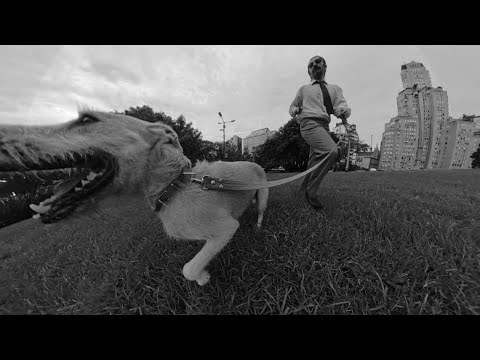 Fonso y Las Paritarias - Perro Mestizo (Video oficial)