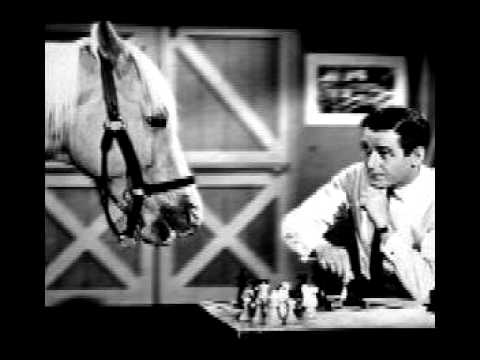 Folk Team - Mluvící Kůň