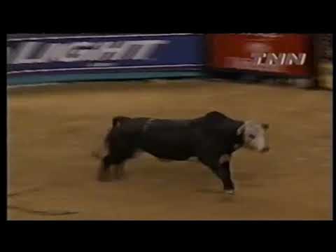 Dillinger bucks Tater Porter - 00 PBR Greensboro