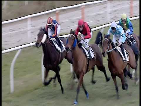 Galoppo 20/01/2020 - 4ª corsa