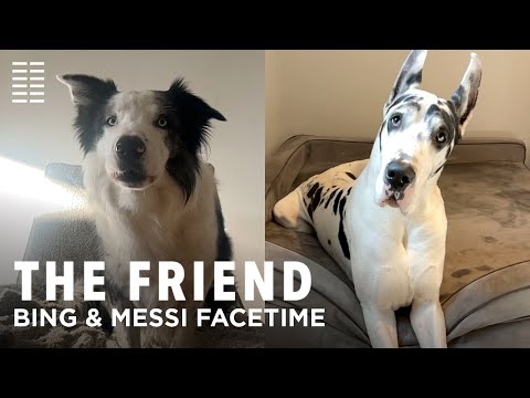 Bing & Messi FaceTime
