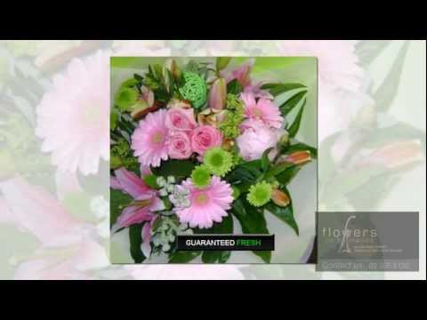 download lagu mp3 mp4 Order Flowers Online Christchurch, download lagu Order Flowers Online Christchurch gratis, unduh video klip Order Flowers Online Christchurch