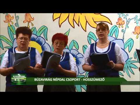 2015 Március 13-15 Hosszúmező