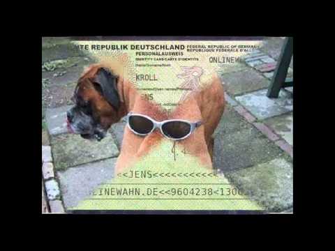 Azad ft. Adel Tawil - Ich hol dich  da raus RMX