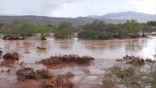 preview picture of video 'Kayenta & Snow Canyon Flash Flood'