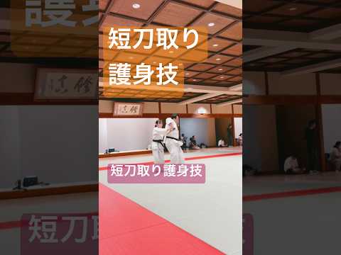 合気道・自由技の稽古風景。その日の課題と技の確認［合気道練精会］