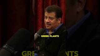 Tree of Life - Humans, Mushrooms and Plants 🤔 w/Neil deGrasse Tyson #science
