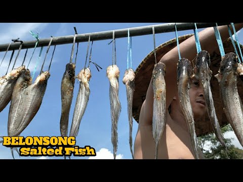 Cara membuat ikan asin BELONSONG Kapuas Hulu