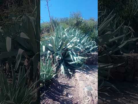 Subida a pie Cerro de la Gloria Mendoza Argentina 2026