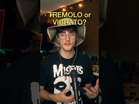 #tremolo #vibrato #audioeffects #guitarpedals #musician #musicproduction #effectspedals #modulation