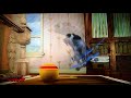 Puppy Dog Pals Hissy S Big Day Go Dog Go