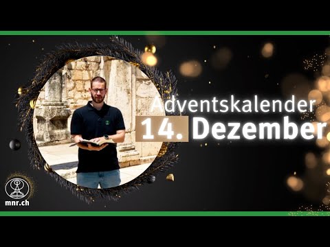MNR-Adventskalender: 14. Dezember | Kapernaum | Hendrik Malgo