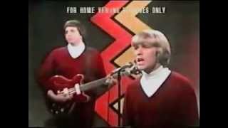 Electric Prunes - I had too much to dream last night