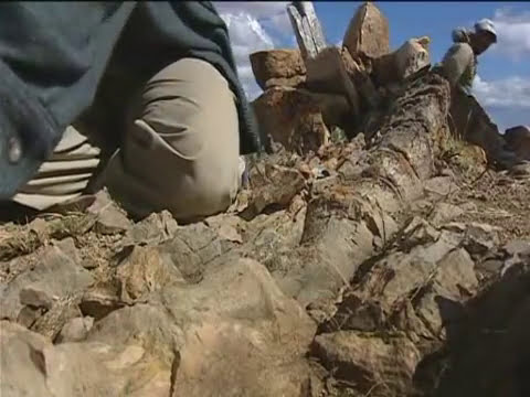 DIE LETZTEN PARADIESE - Patagonien Folge IV