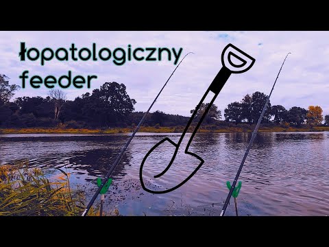 Feeder w najczystszej postaci na uregulowanej rzece Odrze.