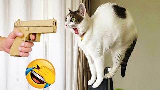 🤣 100%笑える！最高におもしろい猫動画！🐈😹パート 5
