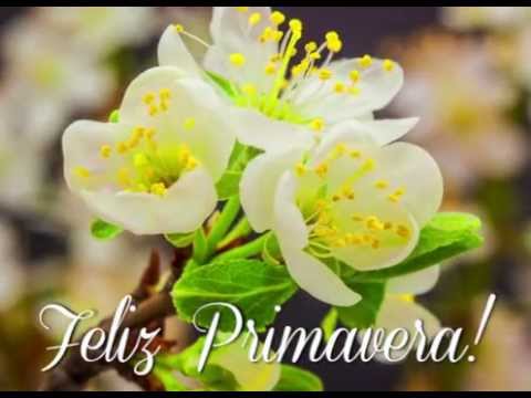Tarjeta para desear Feliz Primavera