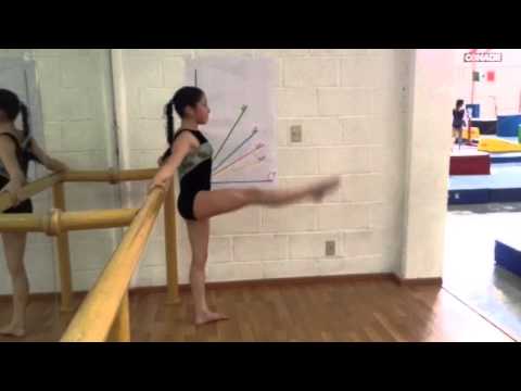 Age Group Programme – Women's Artistic Physical Ability Testing Programme - Flexibility - Exercise 3