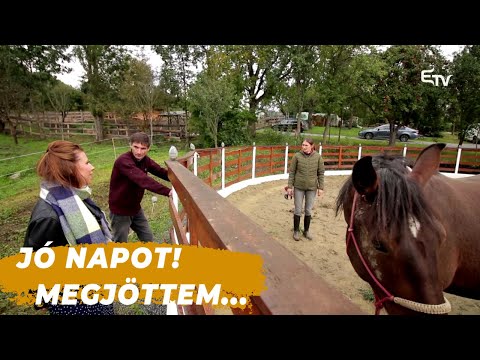Jó napot! Megjöttem... Nagy Zoltán és Otília látott vendégül Kendőn